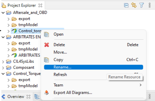 Rename the project in the project explorer Rename the project in the project explorer