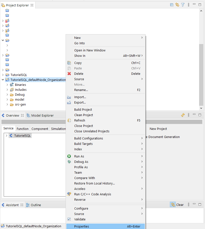Find the properties of the defaultNode