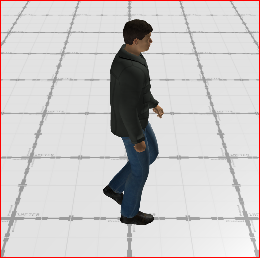 Pedestrian