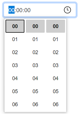 Time Input Time Input
